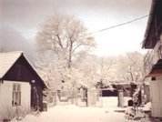 Gradina Iarna Pensiunea Margareta Gradina Iarna